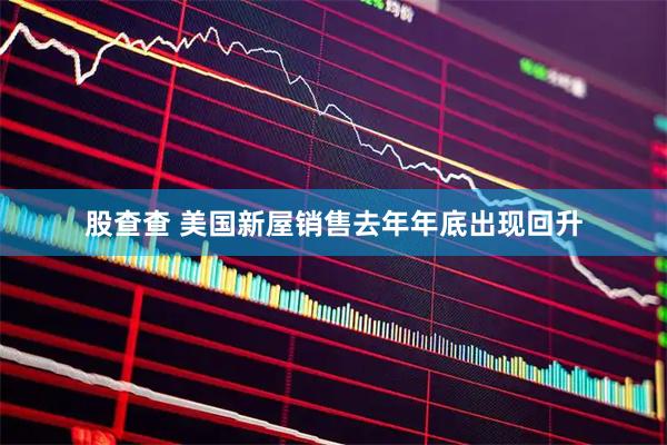 股查查 美国新屋销售去年年底出现回升