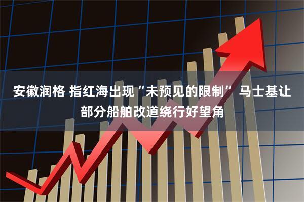 安徽润格 指红海出现“未预见的限制” 马士基让部分船舶改道绕行好望角
