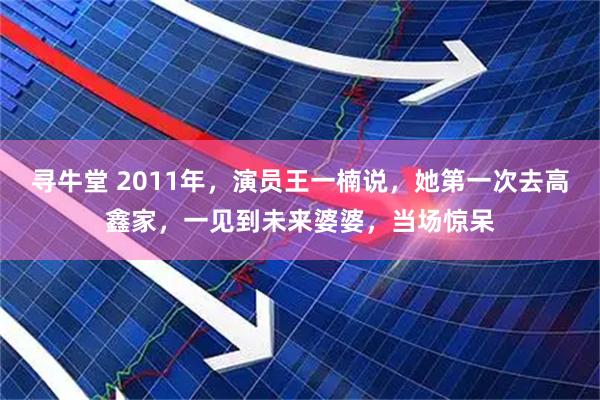 寻牛堂 2011年，演员王一楠说，她第一次去高鑫家，一见到未来婆婆，当场惊呆