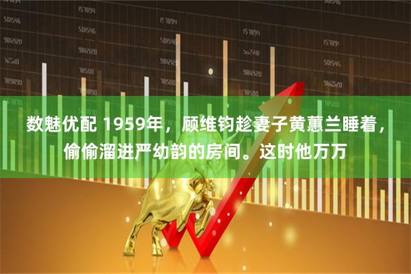 数魅优配 1959年，顾维钧趁妻子黄蕙兰睡着，偷偷溜进严幼韵的房间。这时他万万