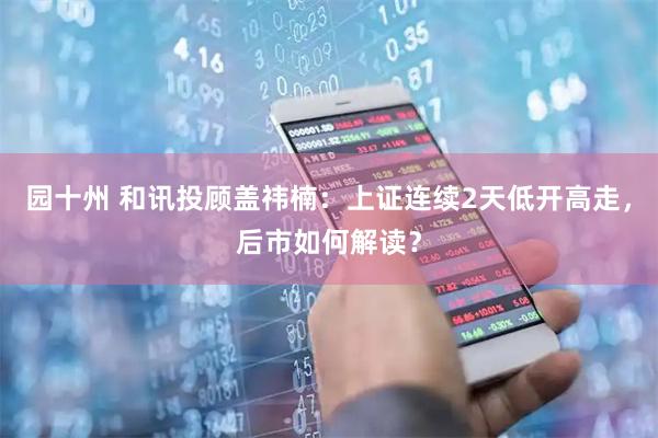 园十州 和讯投顾盖祎楠：上证连续2天低开高走，后市如何解读？