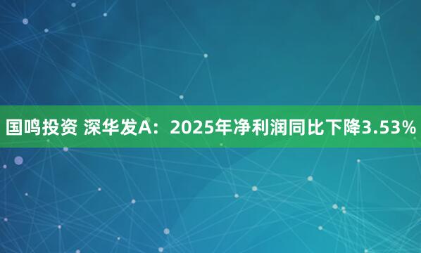 国鸣投资 深华发A：2025年净利润同比下降3.53%