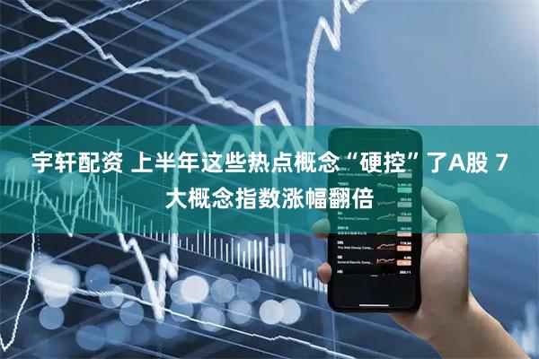 宇轩配资 上半年这些热点概念“硬控”了A股 7大概念指数涨幅翻倍
